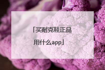 买耐克鞋正品用什么app