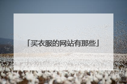 买衣服的网站有那些