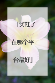 买鞋子在哪个平台最好