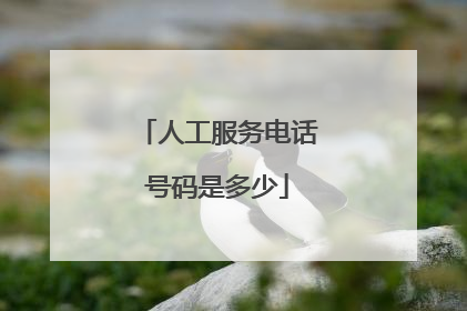 人工服务电话号码是多少