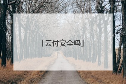 云付安全吗
