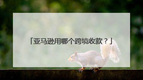 亚马逊用哪个跨境收款?
