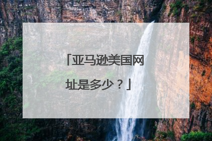 亚马逊美国网址是多少?
