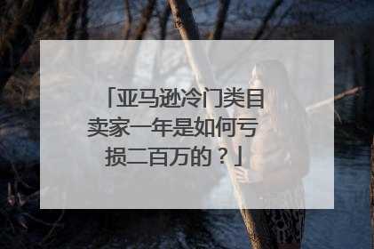 亚马逊冷门类目卖家一年是如何亏损二百万的?