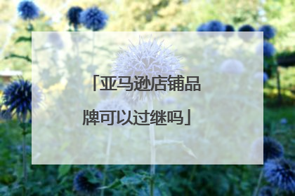 亚马逊店铺品牌可以过继吗