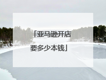 亚马逊开店要多少本钱