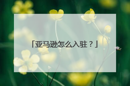亚马逊怎么入驻?