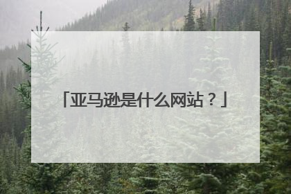亚马逊是什么网站?