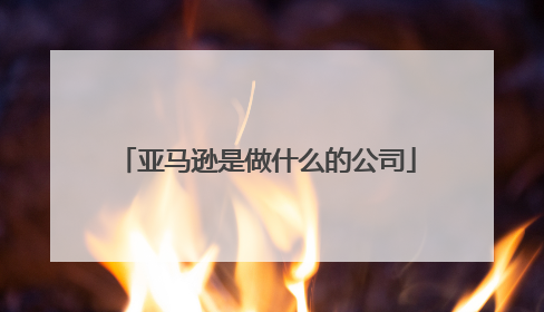 亚马逊是做什么的公司