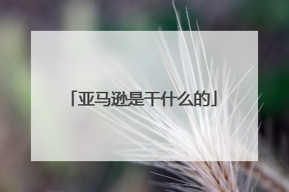 亚马逊是干什么的
