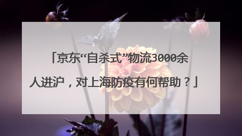 京东“自杀式”物流3000余人进沪，对上海防疫有何帮助？