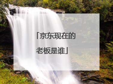京东现在的老板是谁