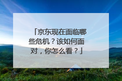 京东现在面临哪些危机?该如何面对,你怎么看?