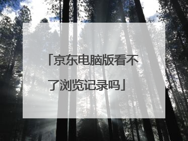 京东电脑版看不了浏览记录吗
