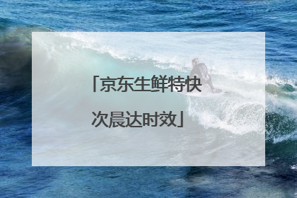 京东生鲜特快次晨达时效