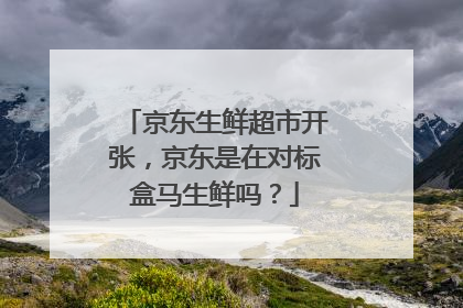 京东生鲜超市开张,京东是在对标盒马生鲜吗?