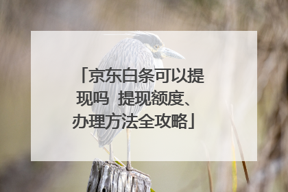 京东白条可以提现吗 提现额度、办理方法全攻略