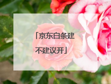 京东白条建不建议开