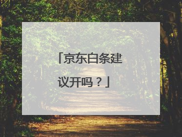 京东白条建议开吗?