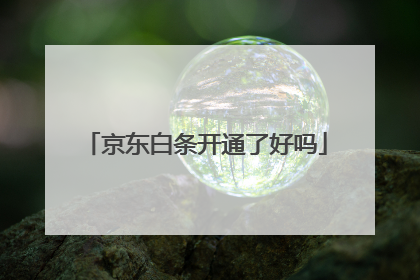 京东白条开通了好吗