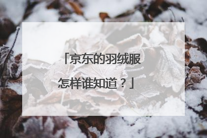 京东的羽绒服怎样谁知道?