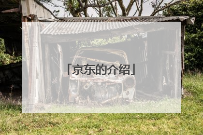 京东的介绍