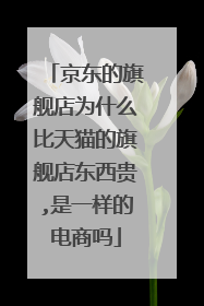 京东的旗舰店为什么比天猫的旗舰店东西贵,是一样的电商吗