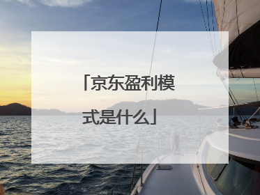 京东盈利模式是什么