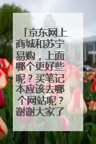 京东网上商城和苏宁易购，上面哪个更好些呢？买笔记本应该去哪个网站呢？谢谢大家了！感激不尽！！！