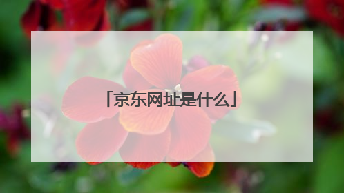 京东网址是什么