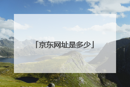 京东网址是多少
