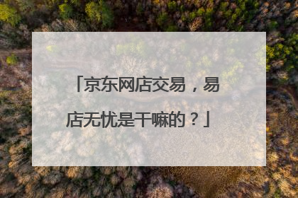 京东网店交易,易店无忧是干嘛的?