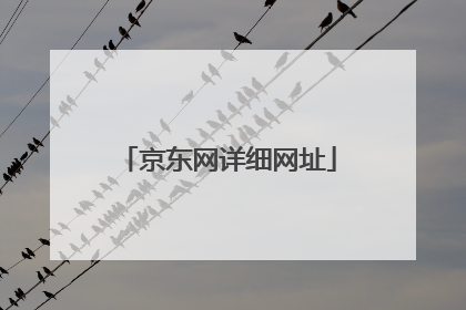 京东网详细网址