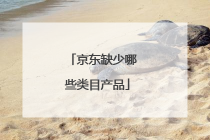 京东缺少哪些类目产品
