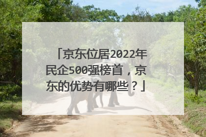 京东位居2022年民企500强榜首,京东的优势有哪些?