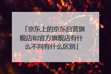 京东上的京东自营旗舰店和官方旗舰店有什么不同有什么区别