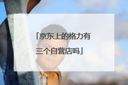 京东上的格力有三个自营店吗