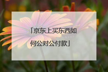 京东上买东西如何公对公付款