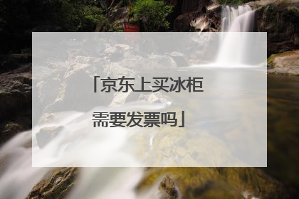 京东上买冰柜需要发票吗