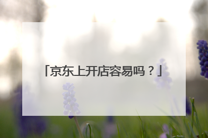 京东上开店容易吗?