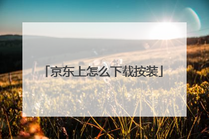 京东上怎么下载按装
