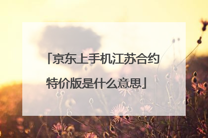 京东上手机江苏合约特价版是什么意思