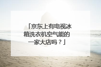 京东上有电视冰箱洗衣机空气能的一家大店吗?
