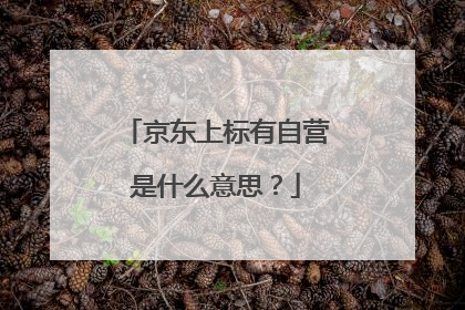 京东上标有自营是什么意思?