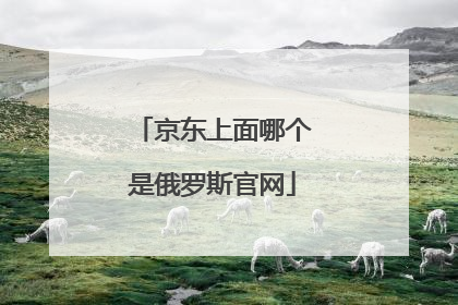 京东上面哪个是俄罗斯官网