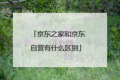 京东之家和京东自营有什么区别