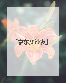 京东买沙发