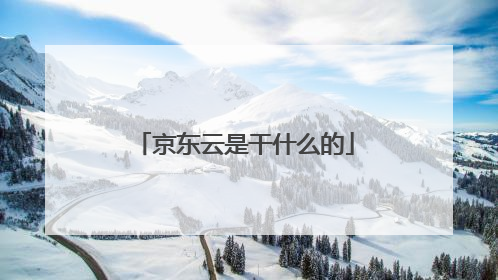 京东云是干什么的