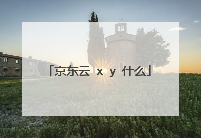 京东云 x y 什么