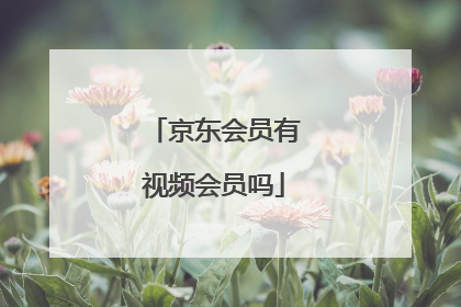 京东会员有视频会员吗